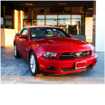 The Official Mustang Group!