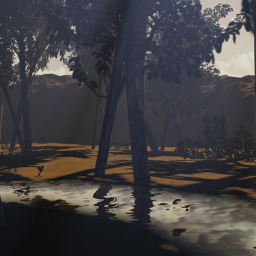 Sunshine Forest [SHOWCASE]