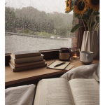 Rainyday clothing
