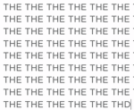 THE THE THE THE THE THE THE TH
