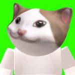 PopCat2.0 Team