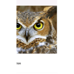 DANIEL OWL