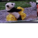 Idk idk idk idk idk idk idk why I made this group