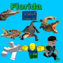 Florida🐊🐊🐊