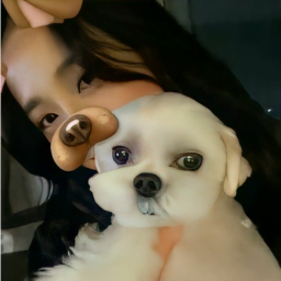 🐶