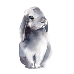 Bunny’s House