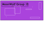The MoonWolf Group
