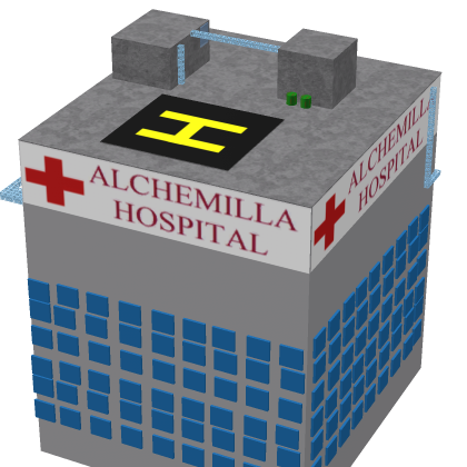 Big Hospital dont copy the model