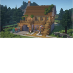 The Minecraft place