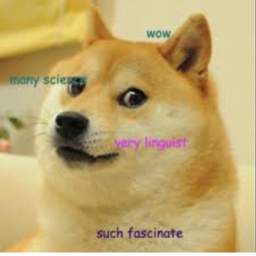 Doge Obby