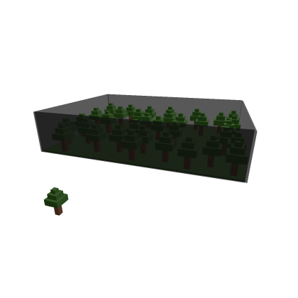 Forest Arena