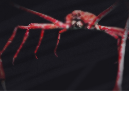 [UPDATE 3!] SCARY ANIMALS®
