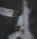 White_gang.