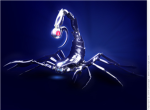 scorpion spies