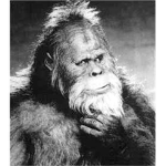 Big Foot Team