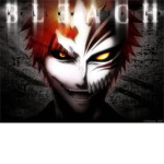 Bleach-The Beginning