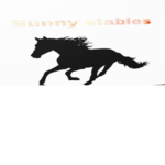 _* Sunny Stables *_