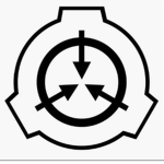 Site 11 Offical Group