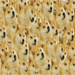 APPLY TO BE A DOG SOLDIER! (NEW)