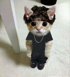 Leon Sus Ayo