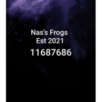 Nas's Frogs