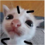 Friendsca
