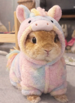 sweetie bunni