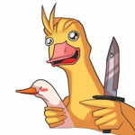 Ducks are de best!!