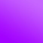THE PURPLE ELITES x