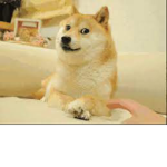 ChocoDogs