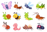 The Bugs Society