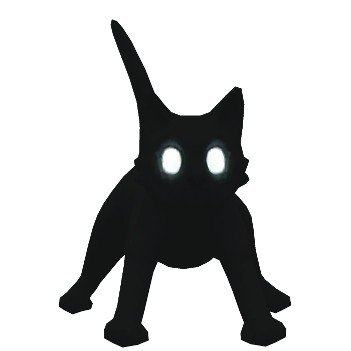 Cat on Head