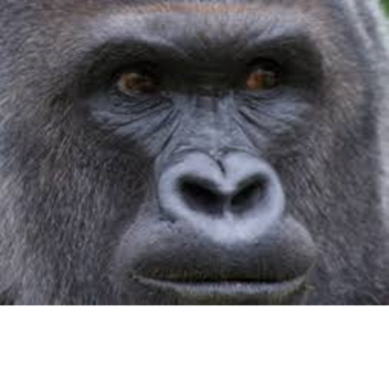 My Models (ivano223)