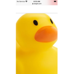 The duck squad 3