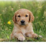 I luvvv animals <3