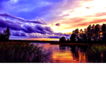stream2772_61