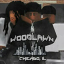 Chicago Woodlawn IL icon