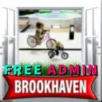 brookhaven but admin ( admin bug FIXED )