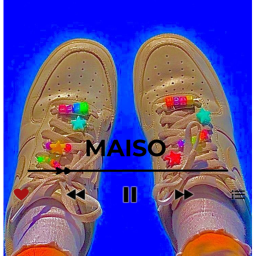 MAISO HOMESTORE