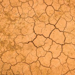 Desert icon