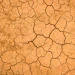 Desert icon