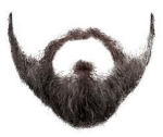 BeardoCult