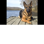 Weird Random Group