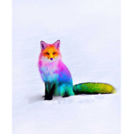 Rainbow_Fox