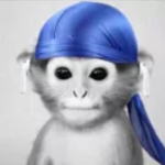 stikks