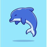 Dolphin Designers