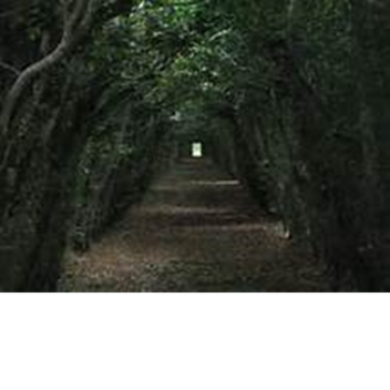 Run (BETA)