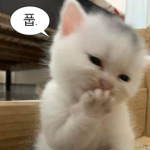 레나 쌉 공주