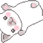 WhiteCats Official