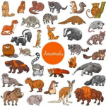 Os Animais